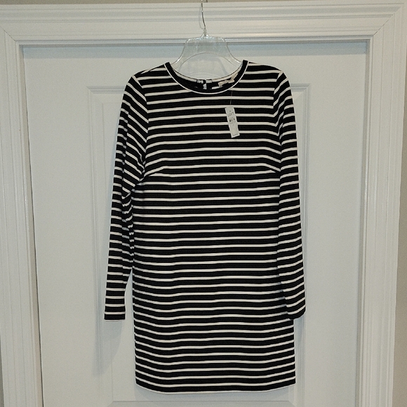LOFT Dresses & Skirts - LOFT Women's Striped Knit Dress